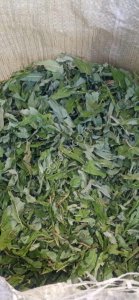 Иван чай лист кипрея