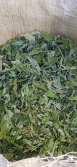 Иван чай лист кипрея