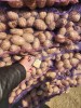 Картофель