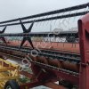 Райграс пастбищный