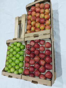 Яблоко оптом