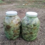 Грибы маслята