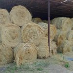 Действующая ферма