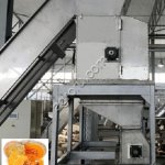 Оборудование переработки тыквы для производства тыквенного пюре.