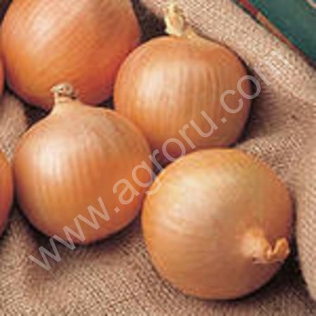 семена чернушки оптом и в розницу