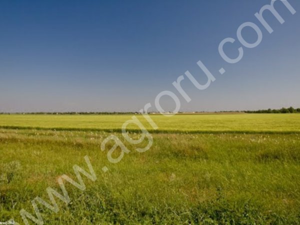 Красноперекоп, 33 Га