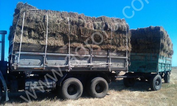 Сено луговое урожая 2015 года