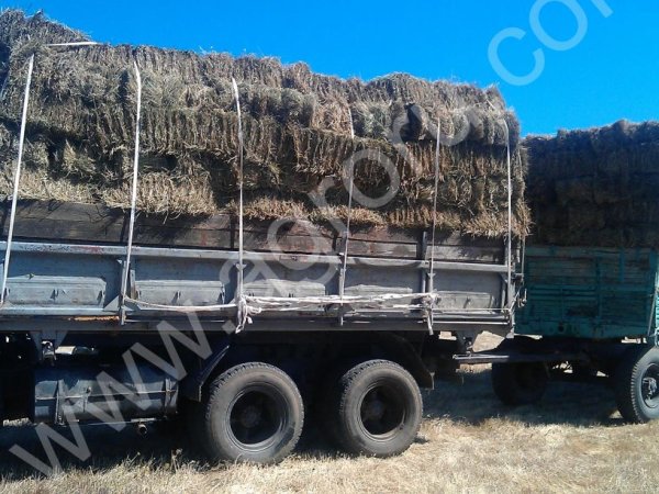 Сено луговое урожая 2015 года