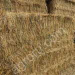 Сено посевное, луговое, солома