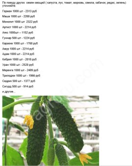 `Семена огурцов аякс адам герман маша монолит артист аякс трилоджи и другие