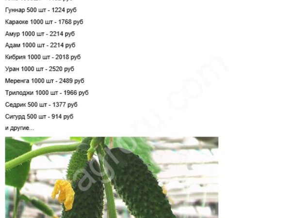 `Семена огурцов аякс адам герман маша монолит артист аякс трилоджи и другие