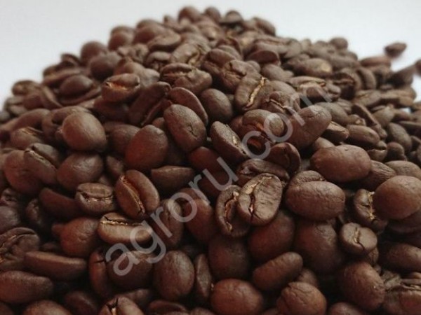 Обжаренный кофе Robusta Uganda scr 18