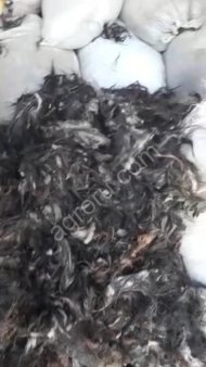 козья шерсть пуховая немытая оптом