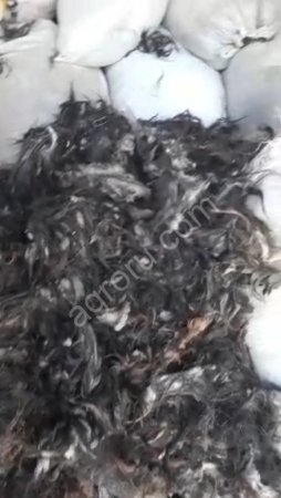 козья шерсть пуховая немытая оптом