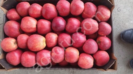 Фрукты/Овощи