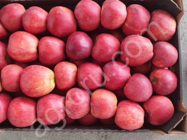 Фрукты/Овощи