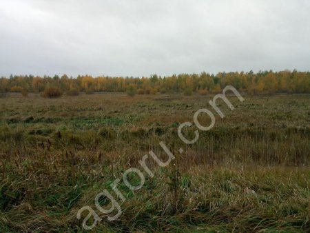 Участки земель с/х назначения