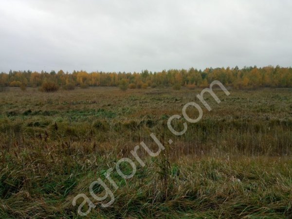 Участки земель с/х назначения