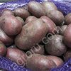 мытый картофель