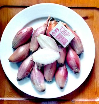 Лук семейный