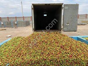 Линия производства яблочного сока