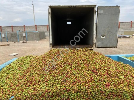 Линия производства яблочного сока