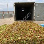 Линия производства яблочного сока