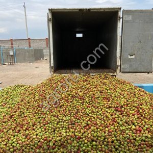 Линия производства яблочного сока