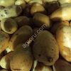 Картофель, некондиционный