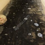 Малек африканского сома