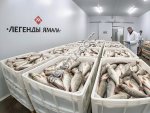 Рыба свежемороженая оптом