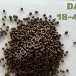 DAP 18-46-0