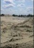 Песчаный карьер в Московской области