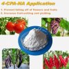 Регулятори роста рослин