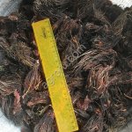 Красная щетка