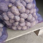 Картофель продовольственный