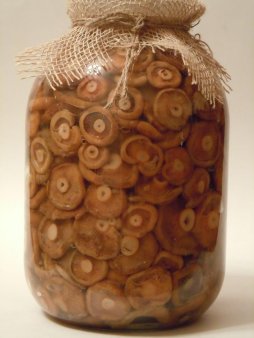 грибы соленые мариновыанные сухие Варенье Иван чай Орехи