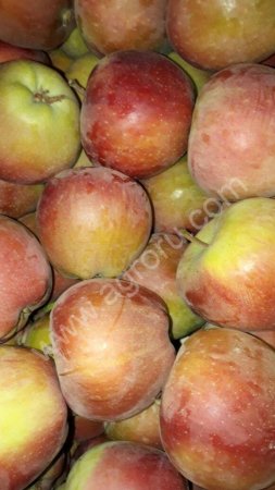 Яблоки
