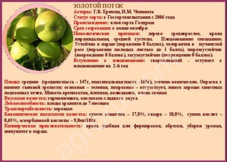 Саженцы плодовых деревьев