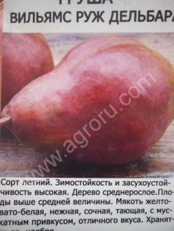 Саженцы плодовых деревьев