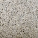 Зерно Амаранта