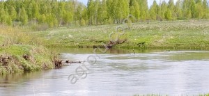 Земля Сельхоз назначения, Промышленного назначения