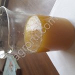 Жир животный куриный технический