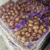 Картофель