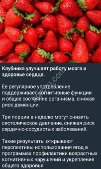 Земляника садовая