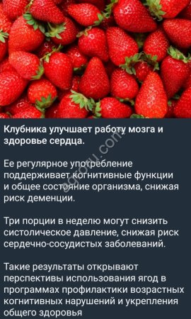 Земляника садовая