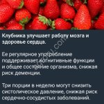 Земляника садовая