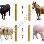 Электропастух для лошадей на 2 Га