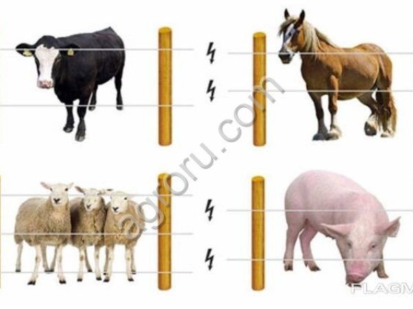 Электропастух для лошадей на 2 Га