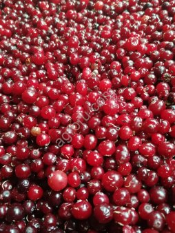 Клюква замороженая